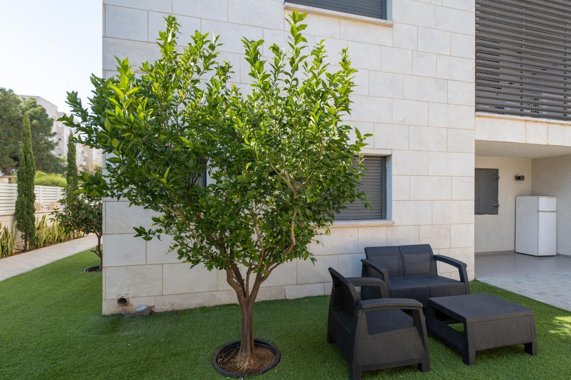Apartment Balfour Sea View Center *